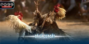 đá gà cựa sắt